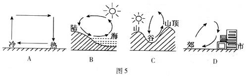 下面表示热力环流的示意图,正确的是