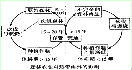 (1)说明热带雨林迁移农业的过程.