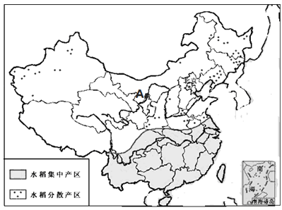 材料二:中国水稻分布图