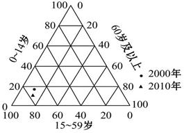 口本总人口