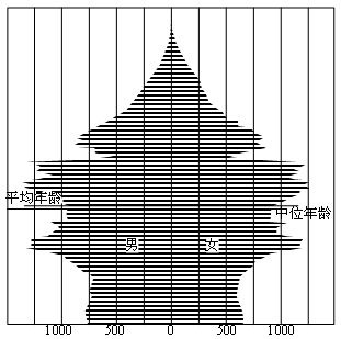 金字塔人口_人口年龄结构金字塔图