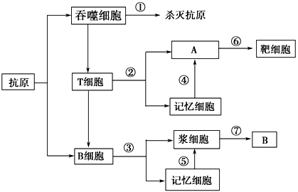 美国共有多少人口_美国一共有多少人口 美国总人口中有多少移民人口(2)