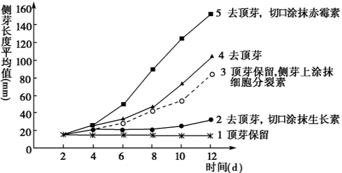 人口两重性_人口普查图片