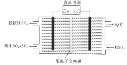 吸收法的原理是什么_什么是牙槽骨吸收(3)