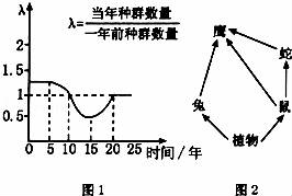 种群生态与人口问题_...面研究了某稳定生态系统中一种动物的繁殖发育及种群