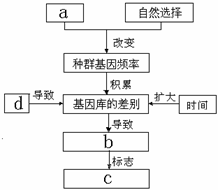 a表示基因突變和基因重組,是生物進化的原材料b.