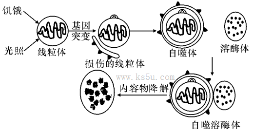 试题报错_无忧题库