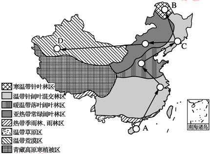 亚寒带针叶林分布图图片