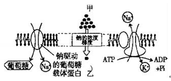 易物天下董事长照片(3)