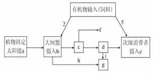 SGWYB-NZJclm7A-2017829141910.004.jpeg