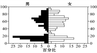 农村人口年龄结构_人口年龄结构金字塔图