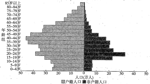 人口普查年龄构成_人口普查年龄结构图(2)