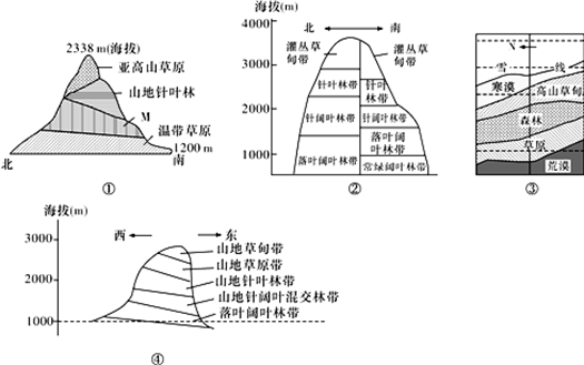 植被带模式图图片