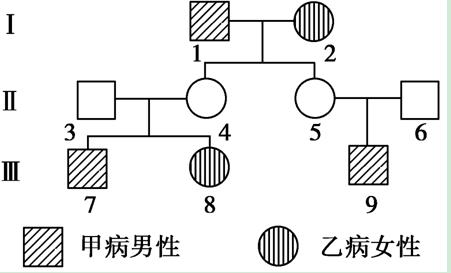 甲,乙兩病均為常染色體隱性遺傳病 b.