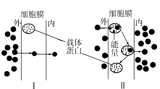 如图为物质进出细胞的两种方式,对该图的正确理解是