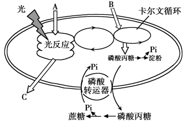 4PD3B-TC3xa2o2-201551416217.026.png