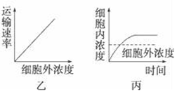 欧普照明董事长王耀海(3)