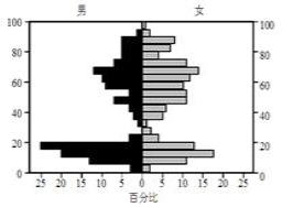 人口过少会产生什么问题_刹车片会出什么问题